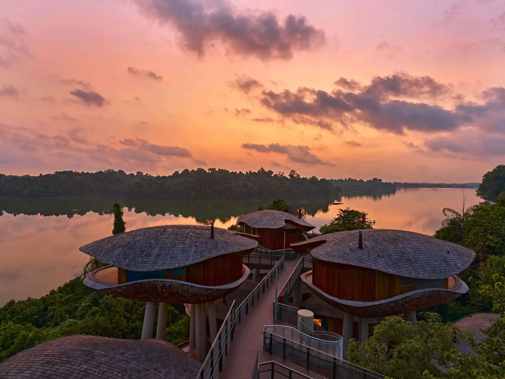 萬態雨林悅榕莊