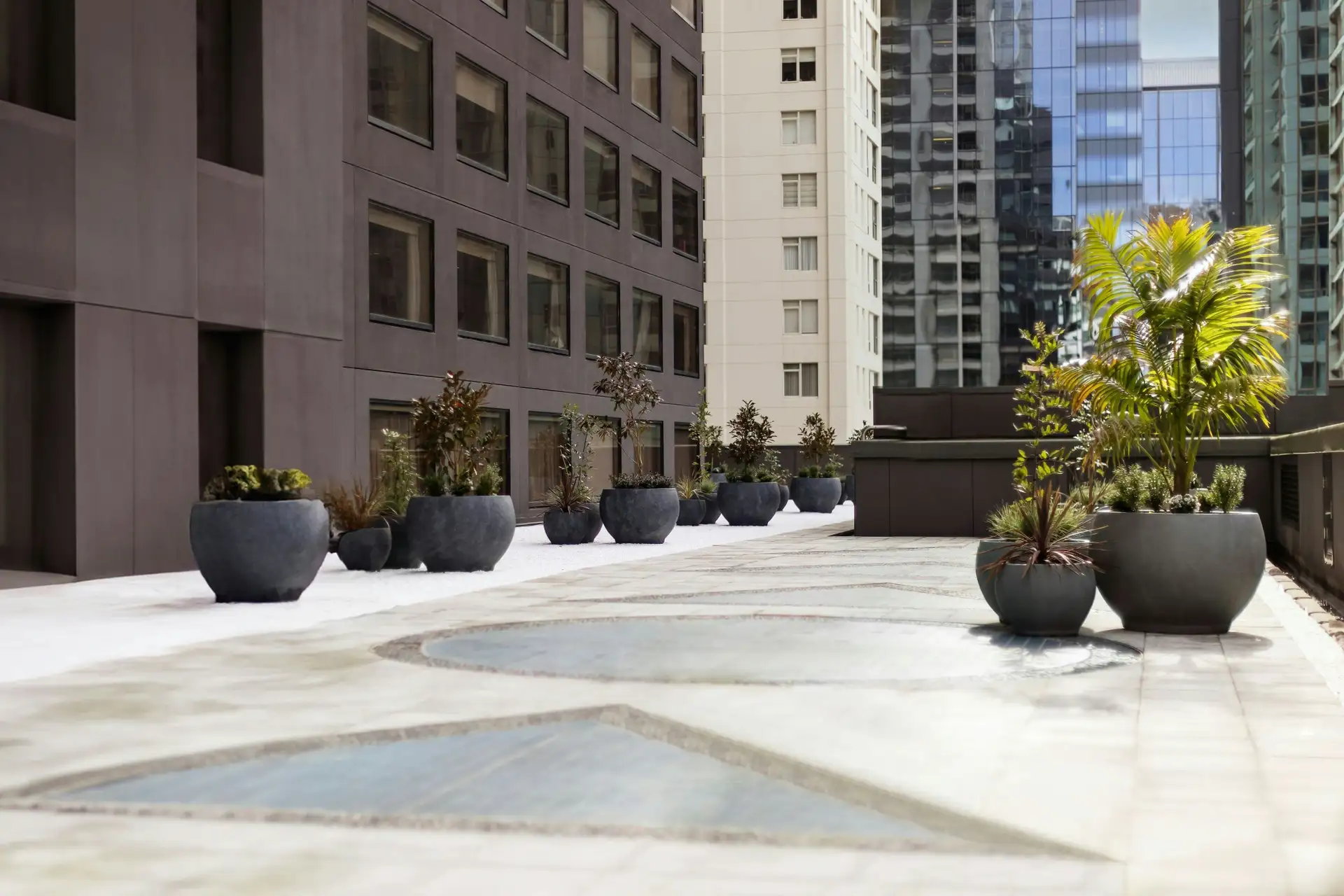 JW Marriott Auckland