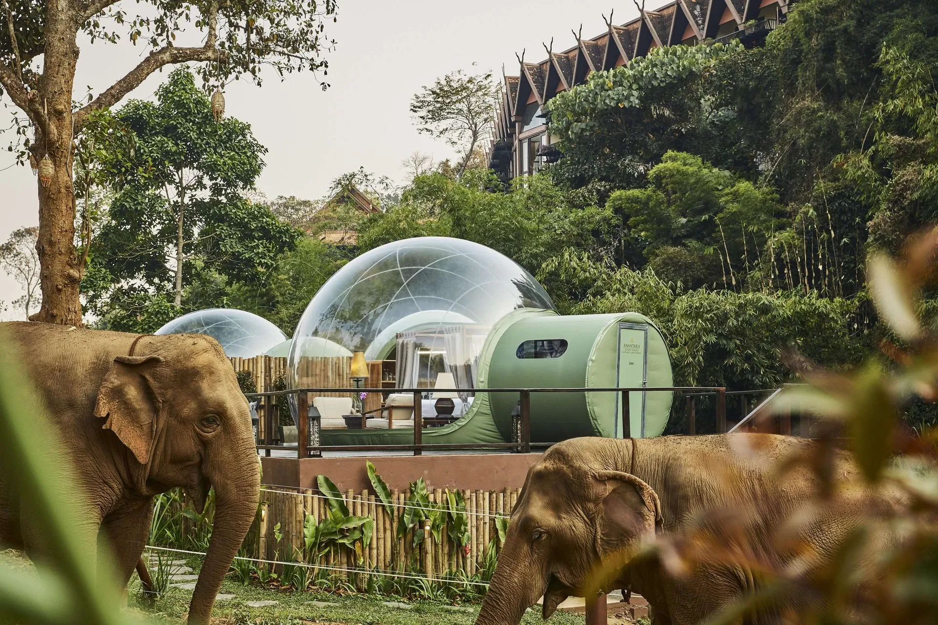 Anantara Golden Triangle Elephant Camp