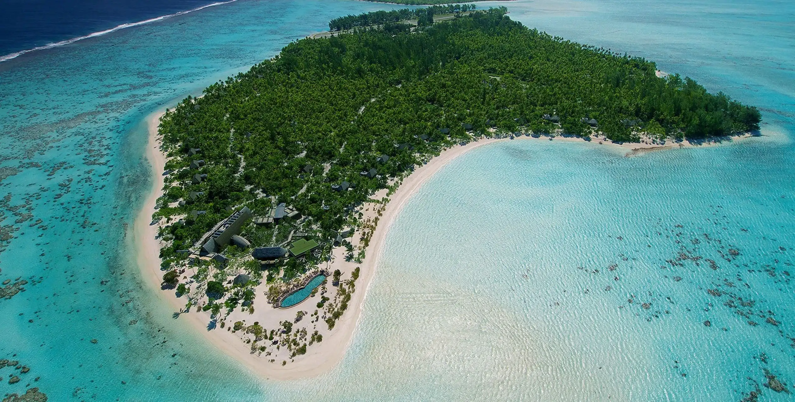 The Brando