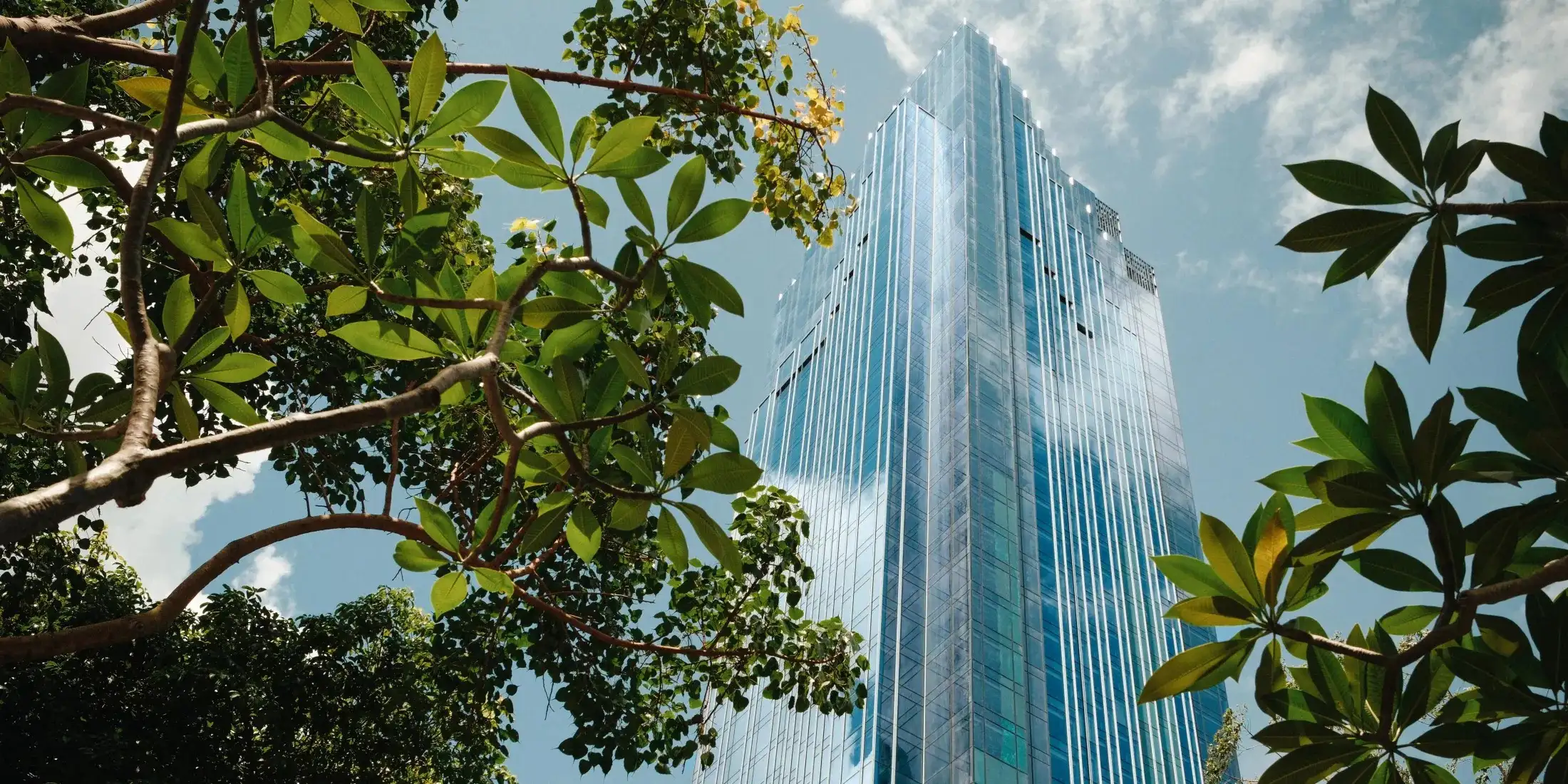 Kimpton Tsim Sha Tsui Hong Kong