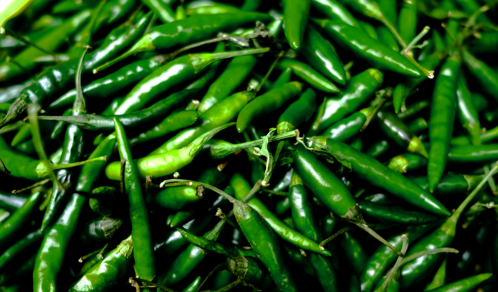 16 productos para abrir una tienda de abarrotes eleventa blog chile