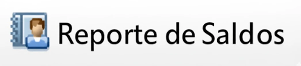 boton-reporte-de-saldos (1)