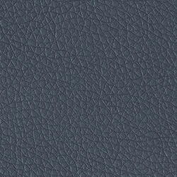 Dillon Williamsburgh VINYL