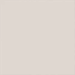 Matte White MW CHIPS