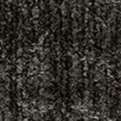 Verona Ash