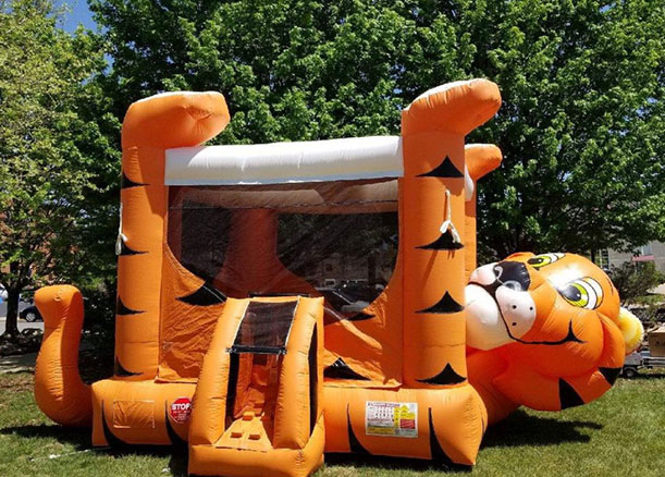 Bounce House Rental Dekalb IL