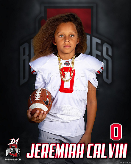 Buckeyes Posters 2025
