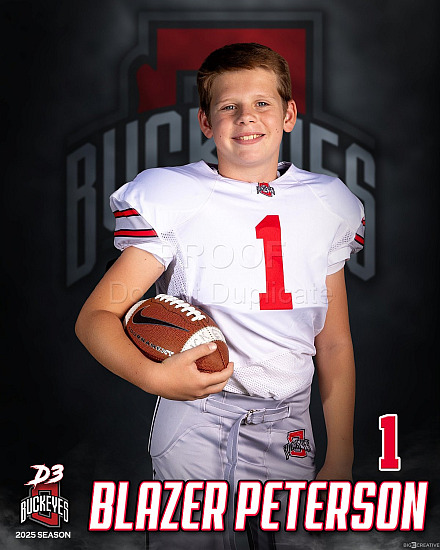 D3 Posters 2025
