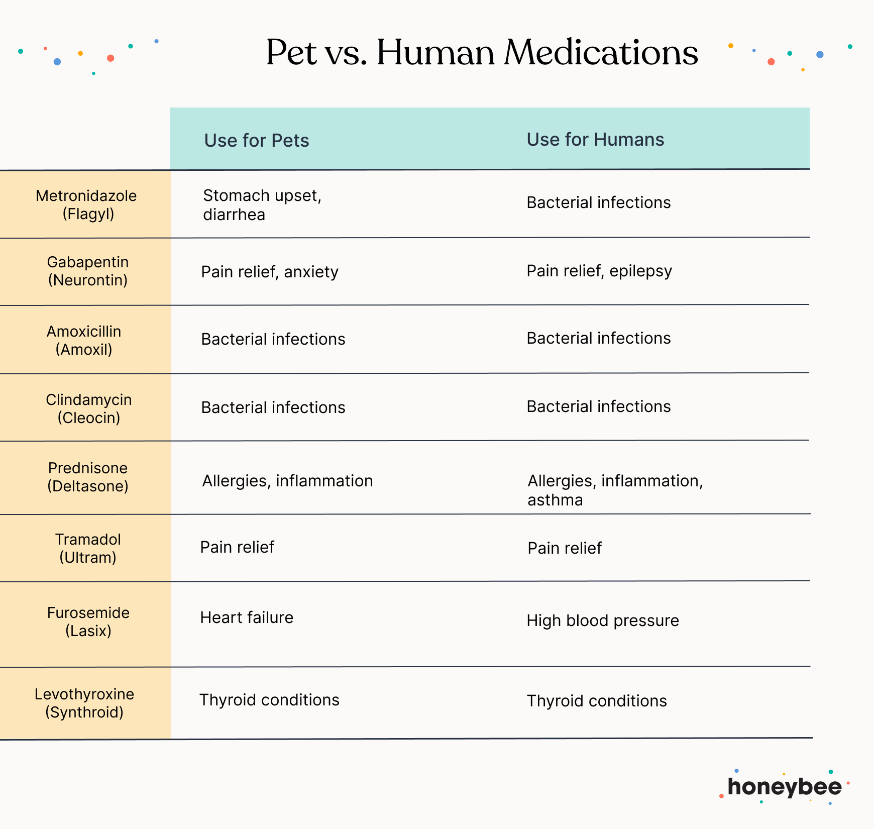 Human vs. Pet Medications What's the Difference? Honeybee Health