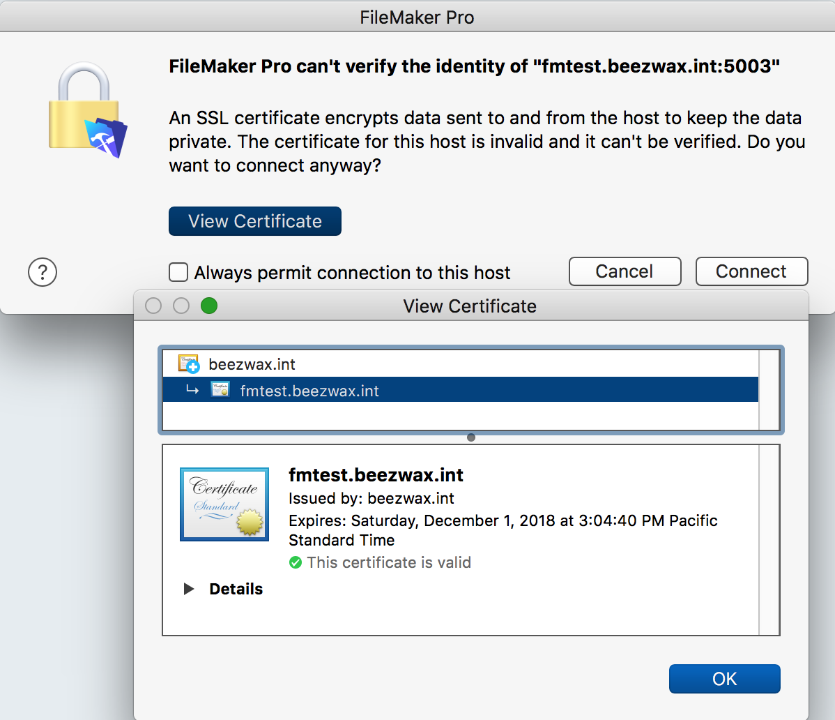 FileMaker Pro certificate warning