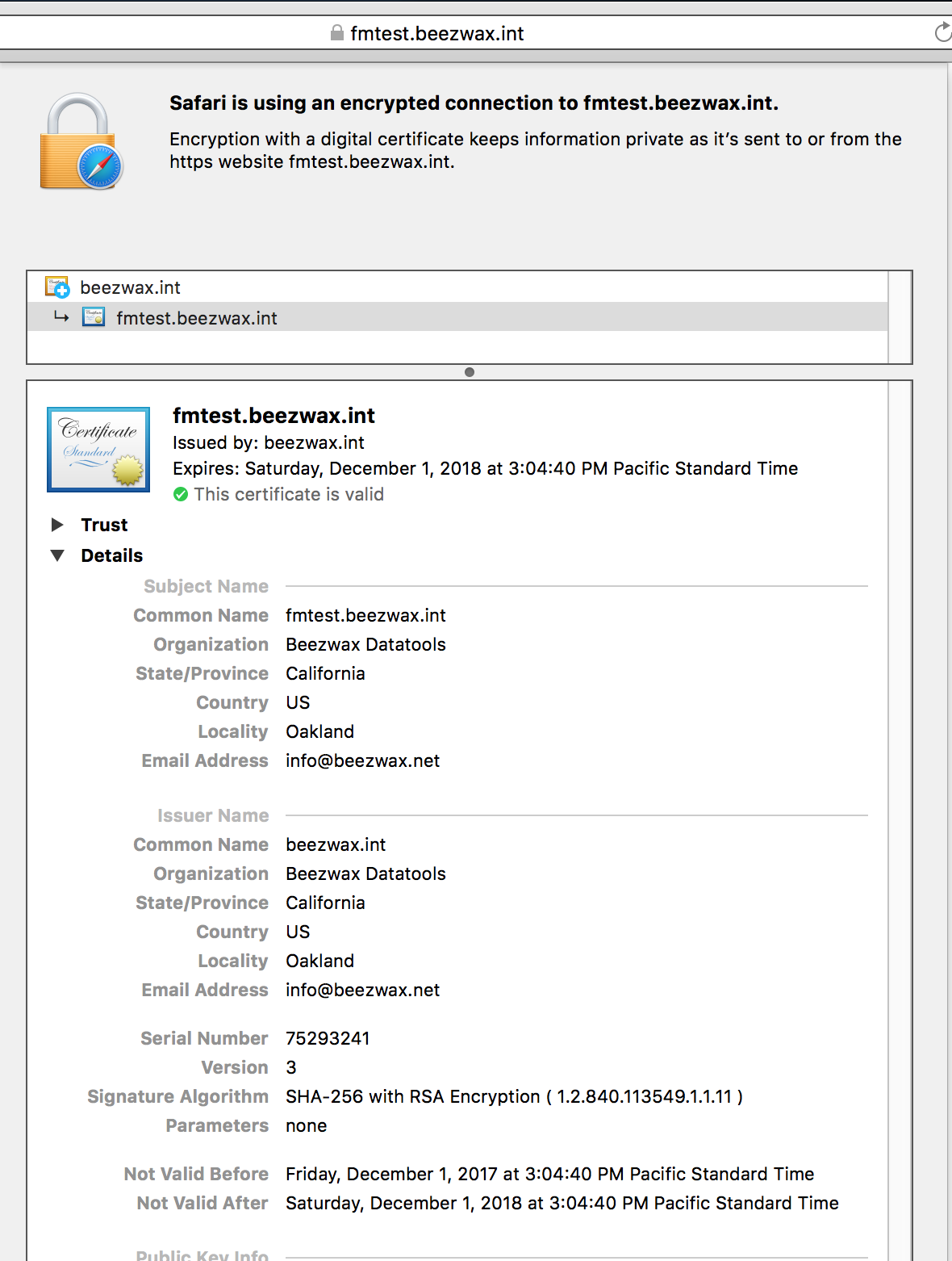 Safari showing the signed certificate