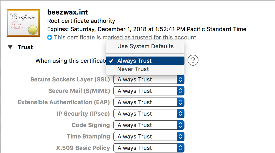 Trusting CA using Keychain Access