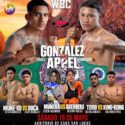 Jiga González, a la conquista del campeonato plata WBC