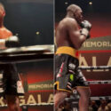 Boxeador cubano que cruzó los Balcanes a pie conquista un título del WBC en Europa