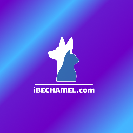 Foto perfil