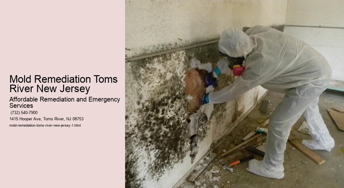 Mold Remediation Toms River New Jersey