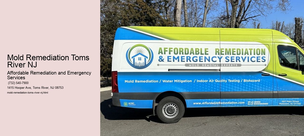 Mold Remediation Toms River NJ