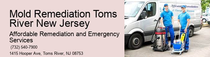 Mold Remediation Toms River New Jersey