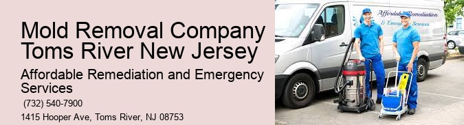 Mold Removal Company Toms River New Jersey