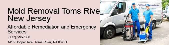 Mold Removal Toms River New Jersey