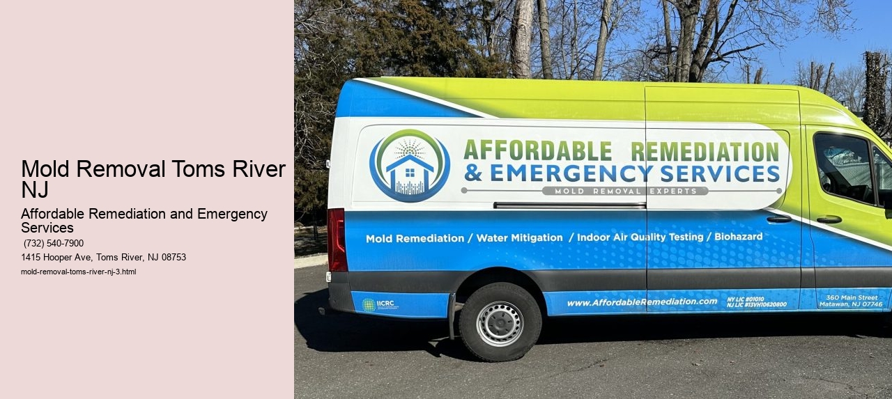 Mold Removal Toms River NJ
