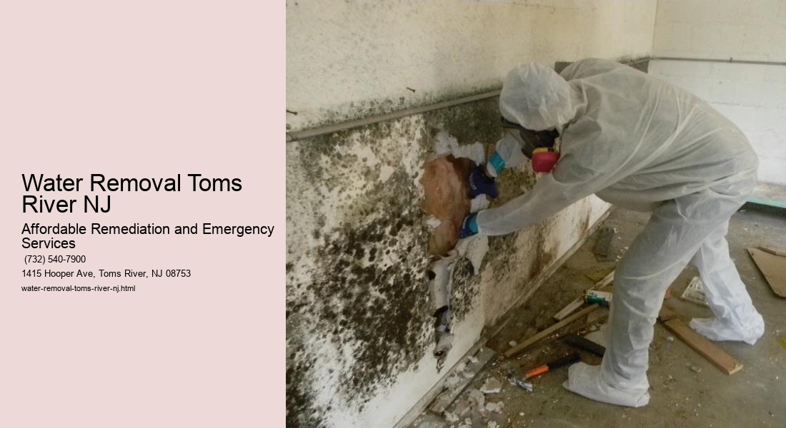 Water Removal Toms River NJ