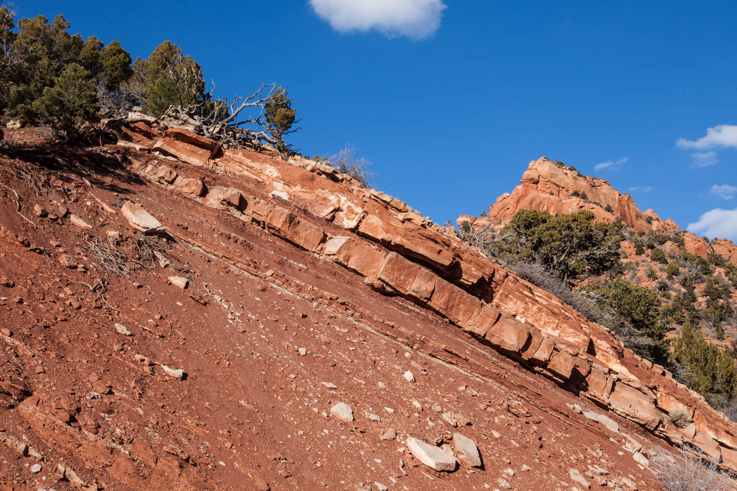 4 Reasons why Kolob Canyon at Zion National Park is worth a visit