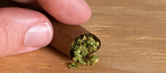 how to roll a blunt beginner friendly