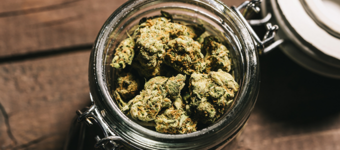 how long does weed last
