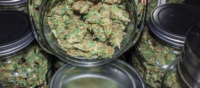 cheap oz