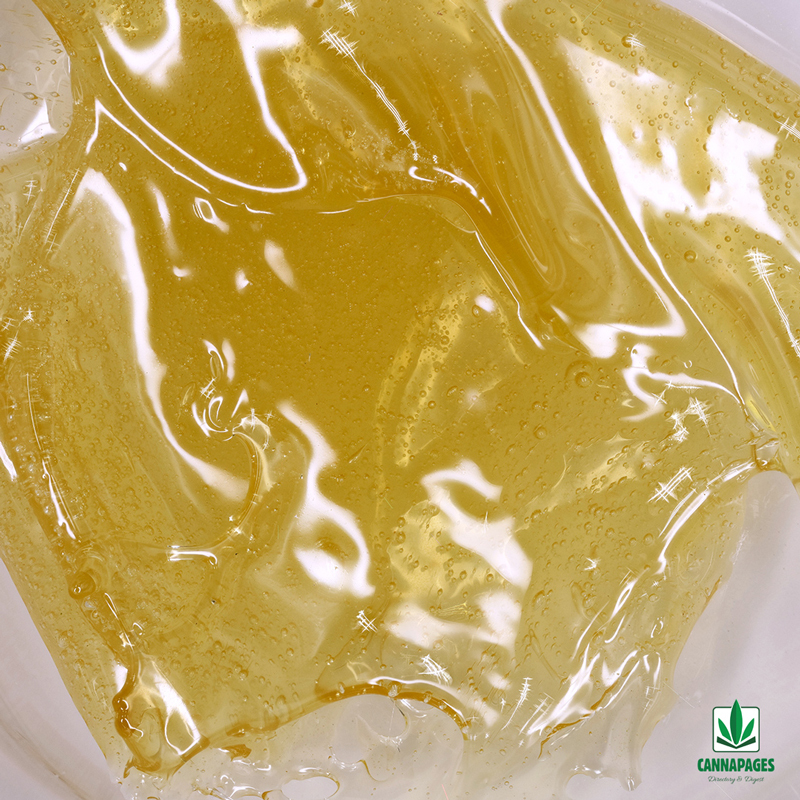 THC Shatter Extract