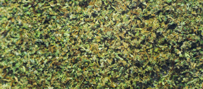 canna caviar weed