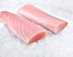 Freshest Fish - Image 5