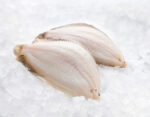 Freshest Fish - Image 3