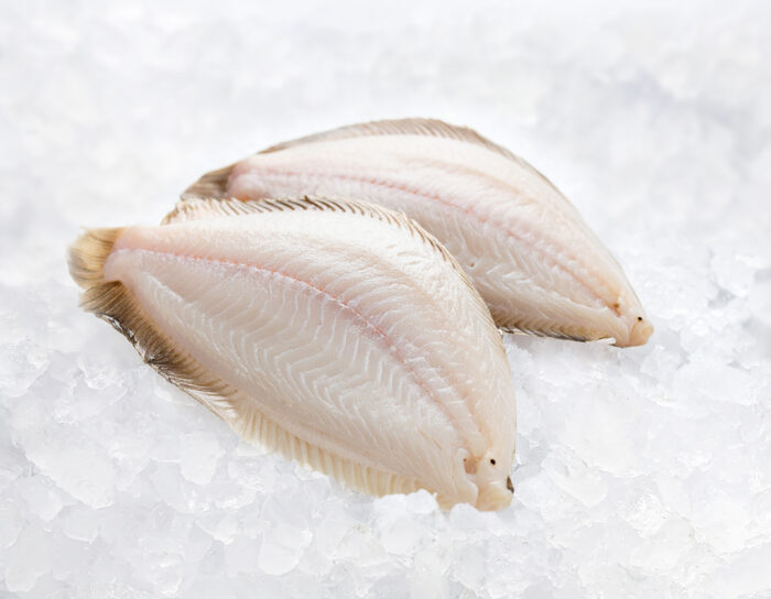 Freshest Fish - Image 3