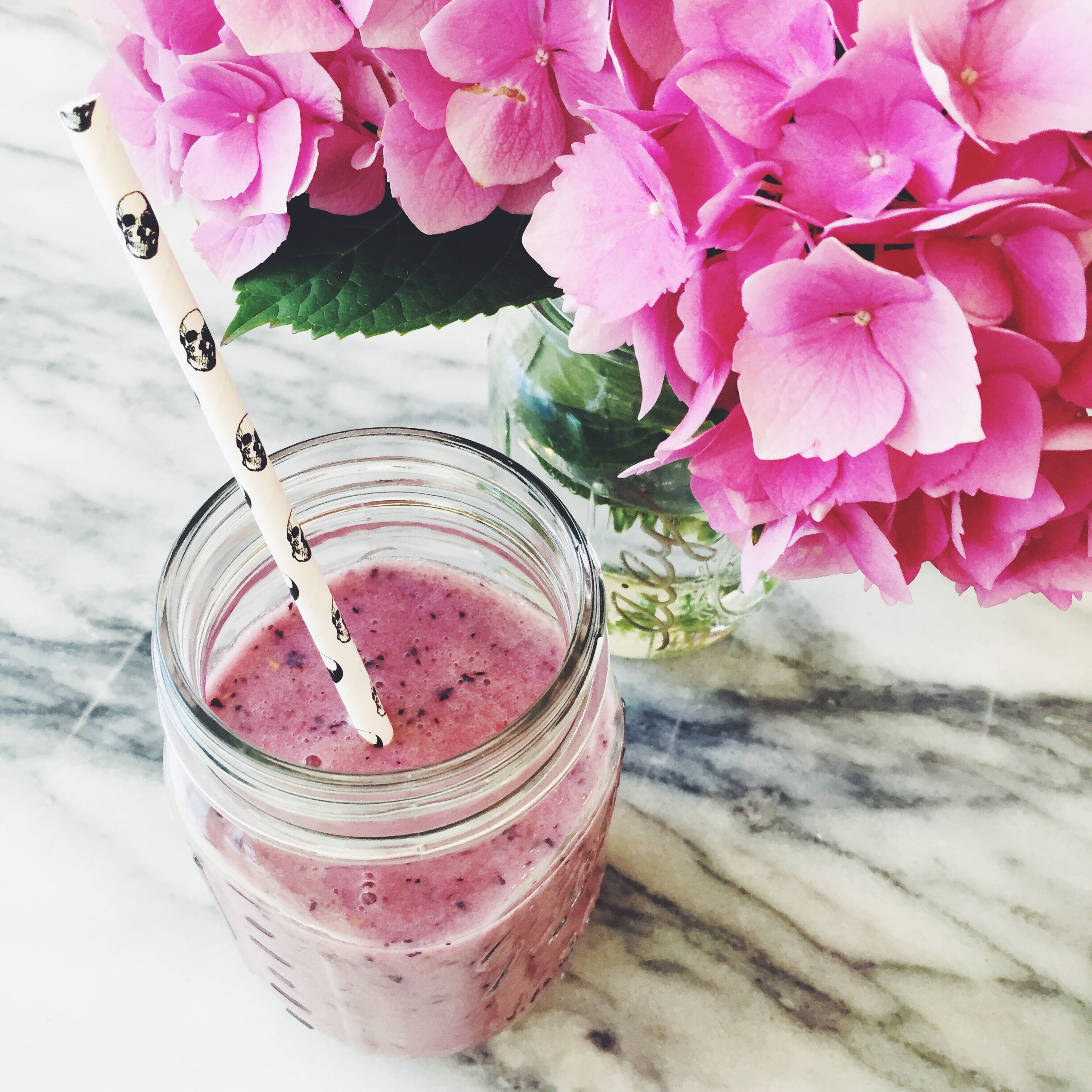 SKINNY SNACK: COCONUT BERRY SMOOTHIE - Sivan