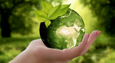 Corporate Sustainability and ESG Compliance for U.S. Companies