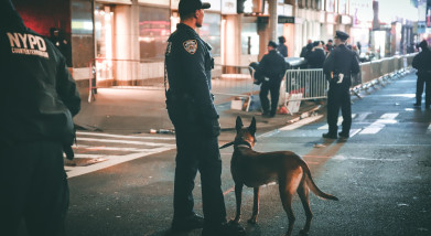 Warranted Warrantless Searches