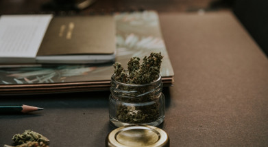 Cannabis and Employment Law