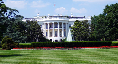 Administrative Procedures: Legal Requirements at the Federal Level