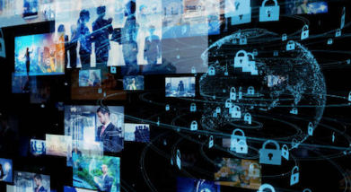 Protecting Sensitive Data and Intellectual Property