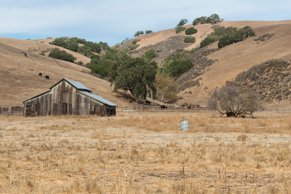 Gilroy
