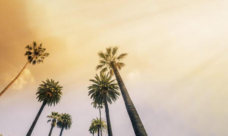 Orange County and San Diego Among Most Competitive Rental Markets in 2023