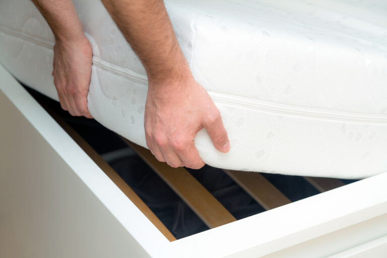 How to Avoid and Get Rid of Bed Bugs in Rental Properties