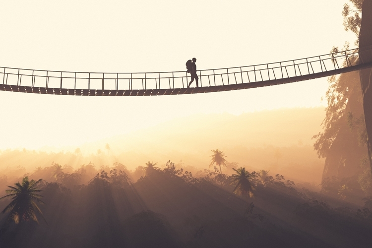 Hiker walking over bridge in jungle 2 mtime20180731204356focalnone