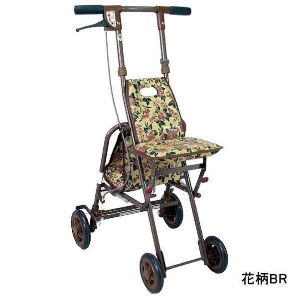 Knee Walker Rental Algonquin IL