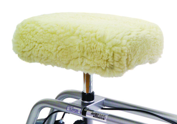 Knee Walker Rental Carol Stream IL