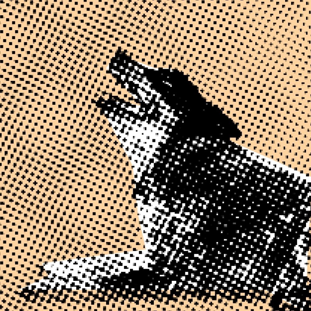 Dotty Dog