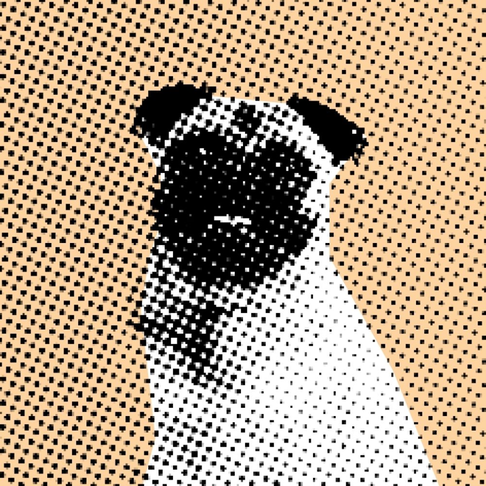 Dotty Dog